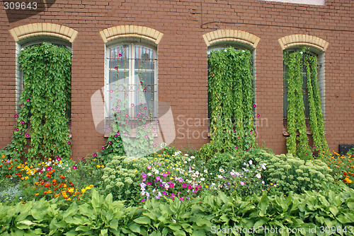 Image of Windows on the brick wall