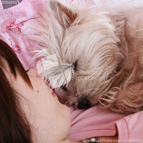 Image of Dog sleeping on bed 