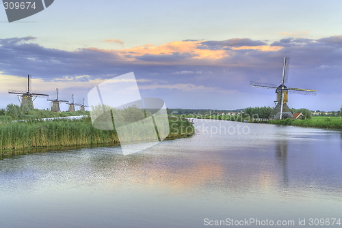 Image of Water Guards