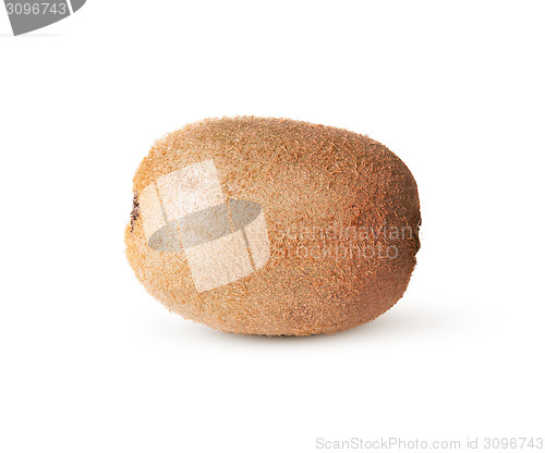 Image of In Front Single Of Juicy Kiwi Fruit