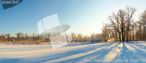 Image of scenic landscape of bare trees and its shadows near  snow field in sunny winter day 