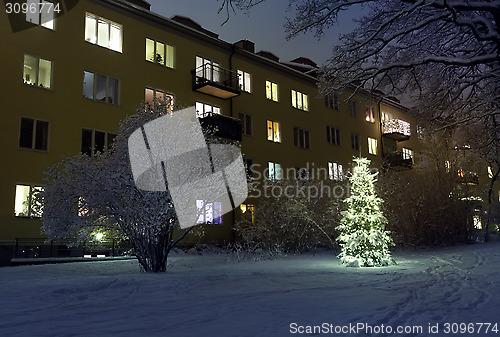 Image of Christmas Tree in Snow