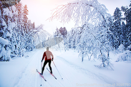 Image of 	Cross-country skiing in Sweden