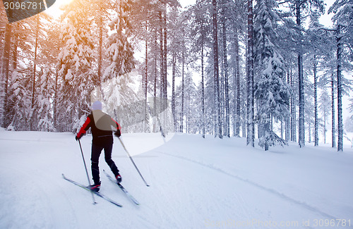 Image of Cross-country skiing in Sweden 