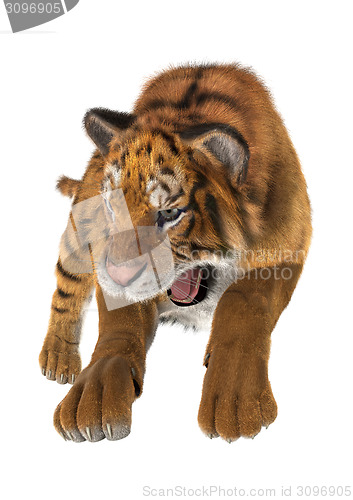 Image of Hunting Tiger