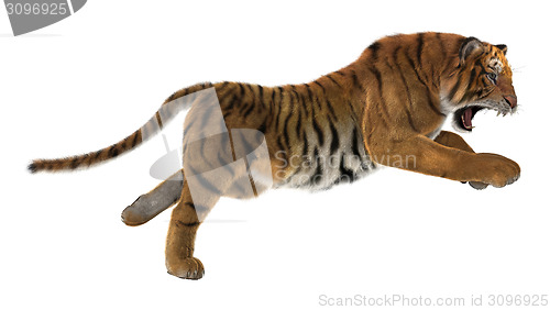 Image of Hunting Tiger