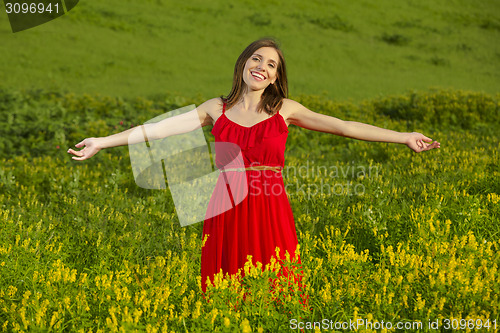 Image of Beauty in red