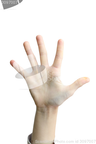 Image of five finger