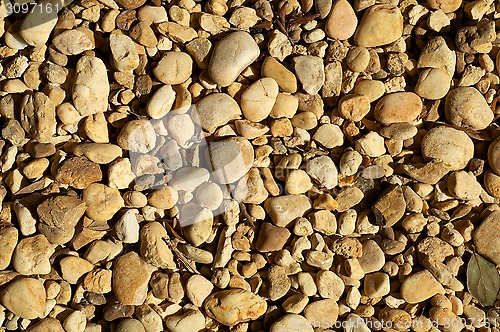 Image of yellow stones in the sun