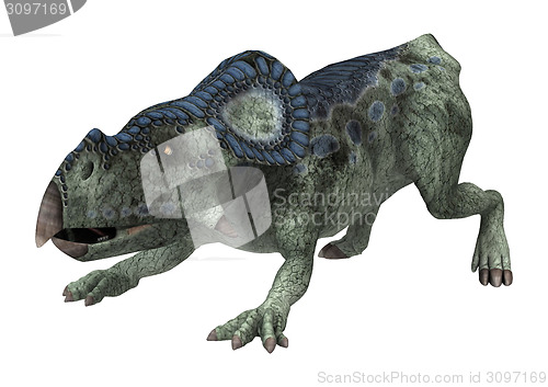 Image of Dinosaur Protoceratops