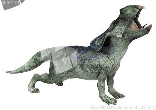 Image of Dinosaur Protoceratops
