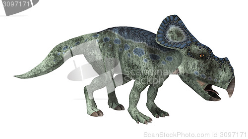 Image of Dinosaur Protoceratops