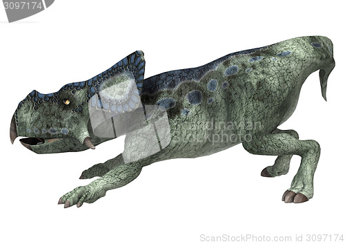 Image of Dinosaur Protoceratops