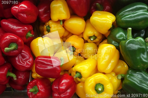 Image of Colorful sweet bell peppers