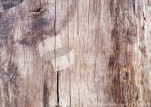 Image of Brown wooden texture.