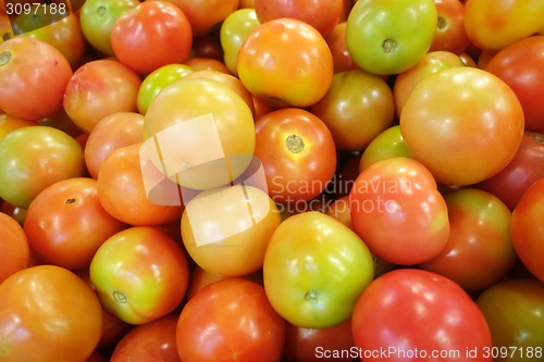 Image of Red tomatos