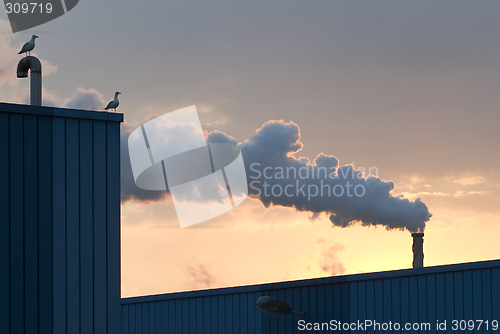 Image of Sunset Pollution