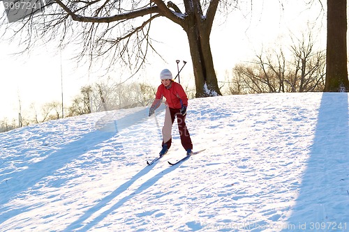 Image of Girl enjoying cross-country skiing down in sunny day