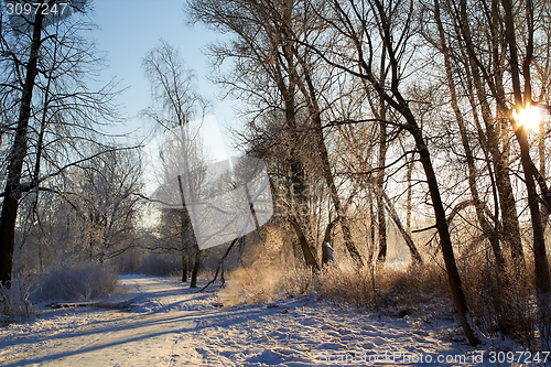 Image of Footbridge on trail in winter forest. Rural landscape.