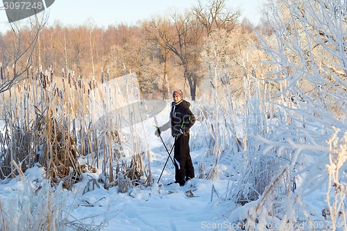 Image of Boy cross country skiing in forest at sunny winter day