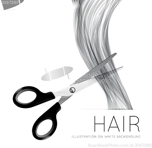 Image of Hair and scissors on a white background
