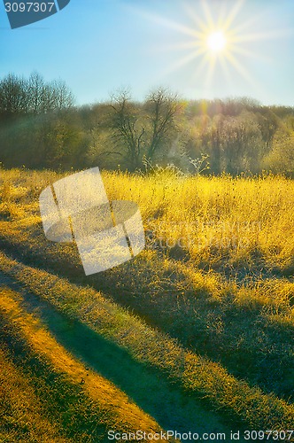 Image of Autumn sun over the field of road