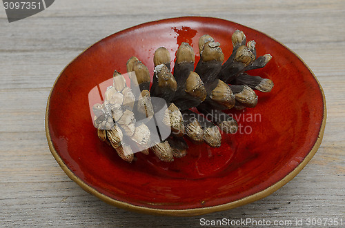 Image of pine cones on a red ceramic bowl