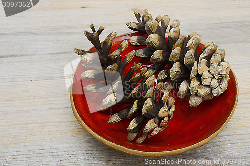 Image of two pine cones on a red ceramic saucer