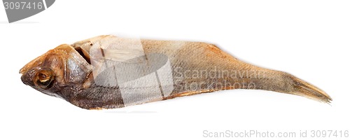 Image of Sun-dried roach isolated on white background