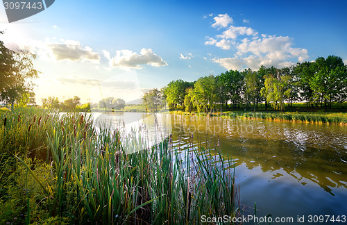 Image of Morning on river