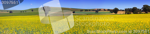 Image of Country NSW farmland panorama