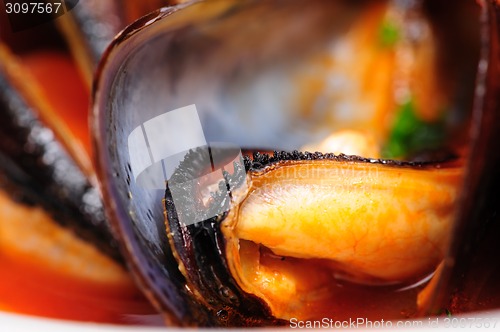 Image of Mussels in italian rustic style