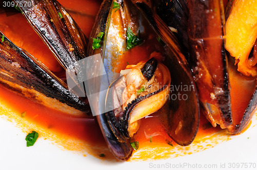 Image of Mussels in italian rustic style