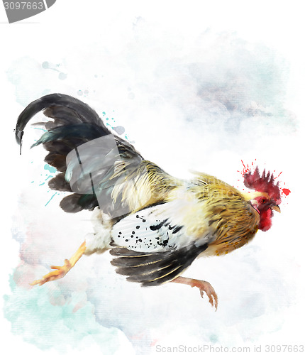 Image of Rooster Running