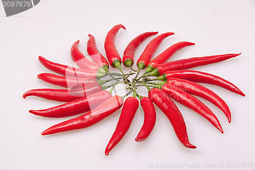 Image of A circle of red chili