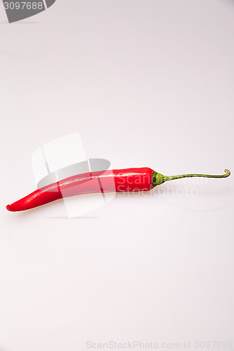 Image of Red chili pepper