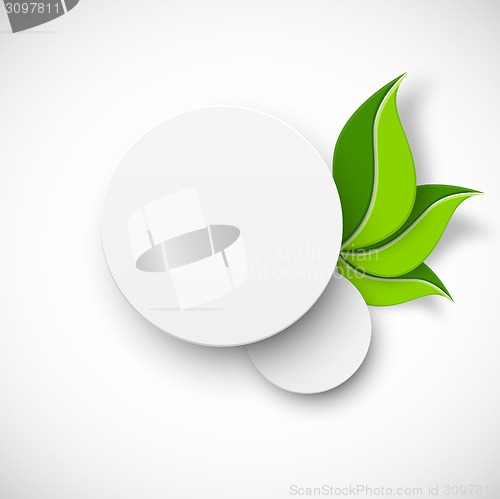 Image of Paper white circle with leaves