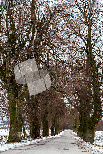 Image of winter landscape with road and trees