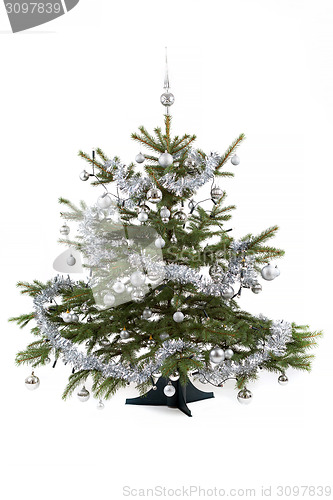 Image of Decorated christmas tree with silver balls 