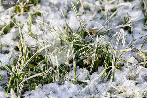 Image of Closeup of frozen crystals on grass blades with snow