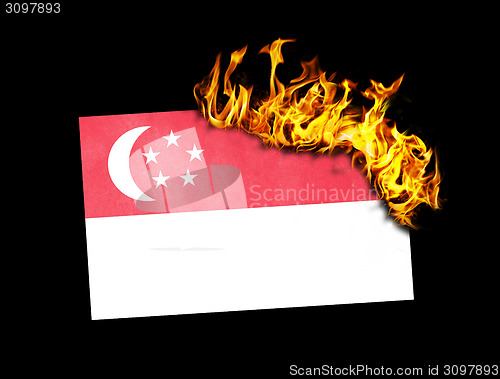 Image of Flag burning - Singapore