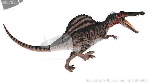 Image of Dinosaur Spinosaurus