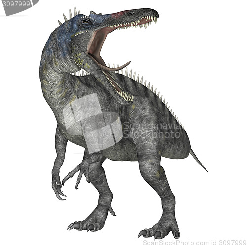 Image of Dinosaur Suchomimus