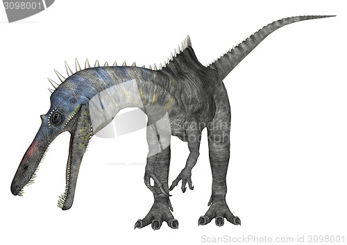 Image of Dinosaur Suchomimus