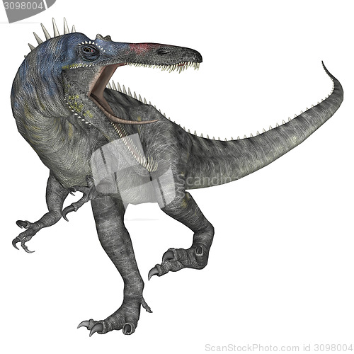 Image of Dinosaur Suchomimus