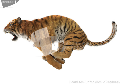 Image of Hunting Tiger