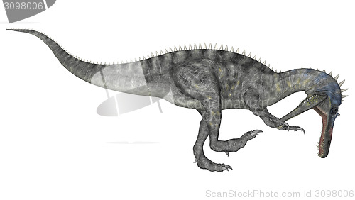 Image of Dinosaur Suchomimus