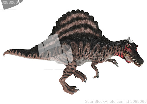 Image of Dinosaur Spinosaurus