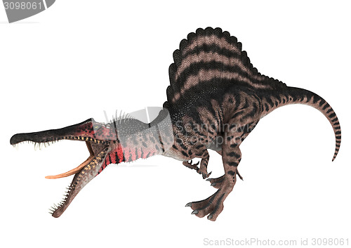 Image of Dinosaur Spinosaurus