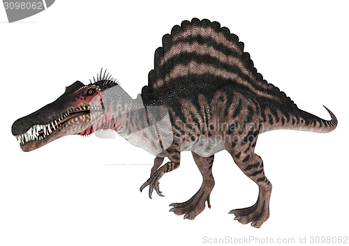 Image of Dinosaur Spinosaurus